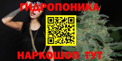 сатива Аргун