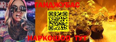 прущие грибы Будённовск
