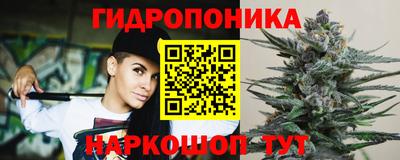 прущие грибы Будённовск