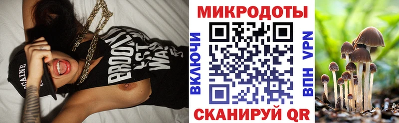 Псилоцибиновые грибы Magic Shrooms  Вязьма 