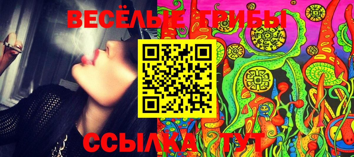 Псилоцибиновые грибы мухоморы Вязьма